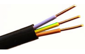 ВВГнг LS 3х10